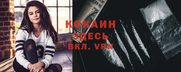 кокс Алексин