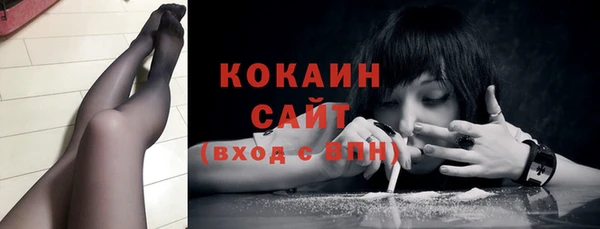 кокс Алексин