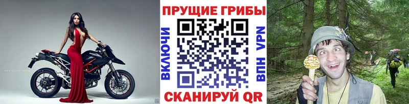 Псилоцибиновые грибы мицелий Родники