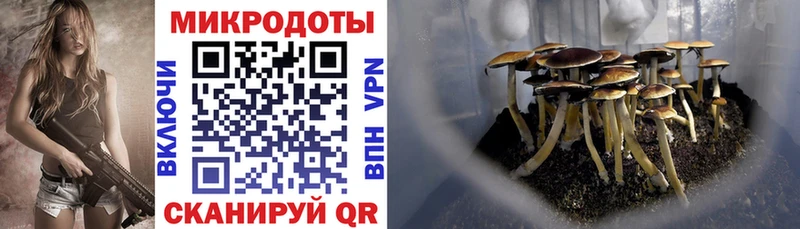 Галлюциногенные грибы ЛСД  цена наркотик  Родники 
